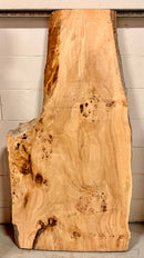 Mappa Burl C2