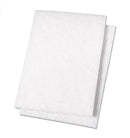 White Scouring Pads